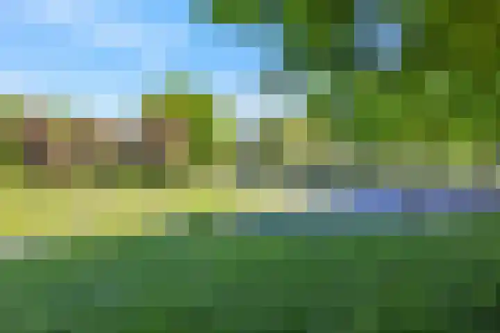 Boedijnhof 10 Hoorn thumbnail 55