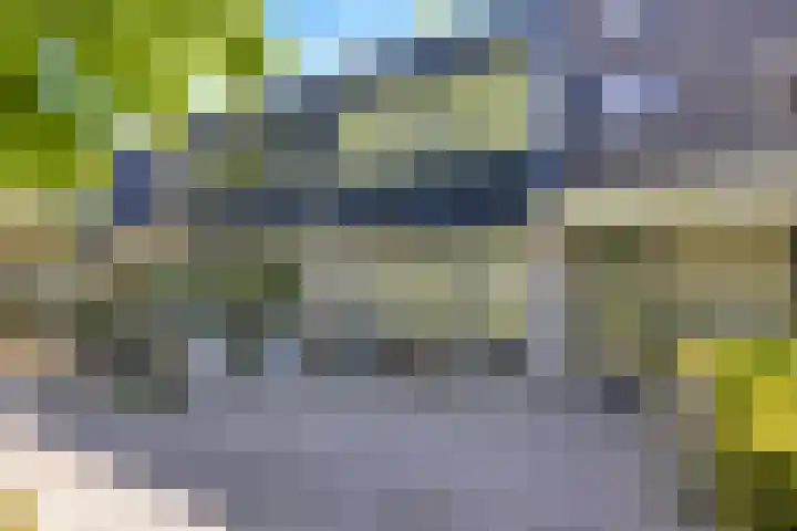 Boedijnhof 10 Hoorn thumbnail 6