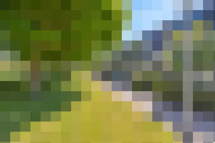 Boedijnhof 10 Hoorn thumbnail 7