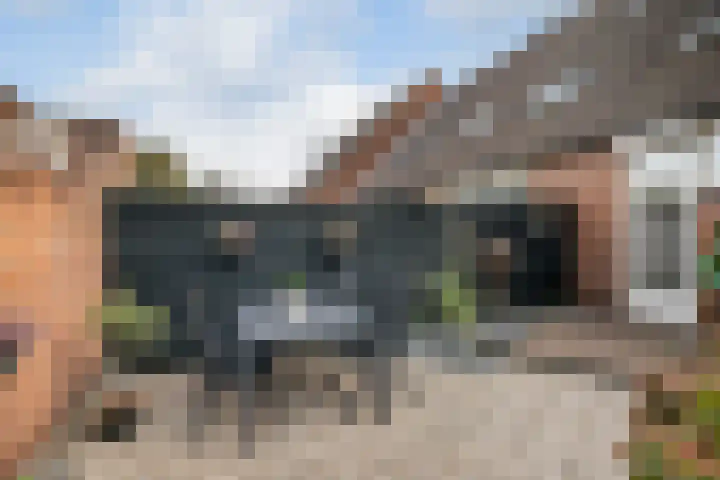 Boedijnhof 10 's-Gravenzande thumbnail 17