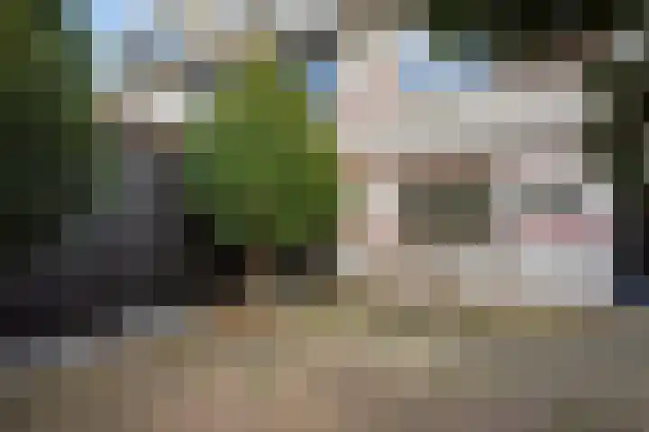 Boedijnhof 36 Hoorn thumbnail 25