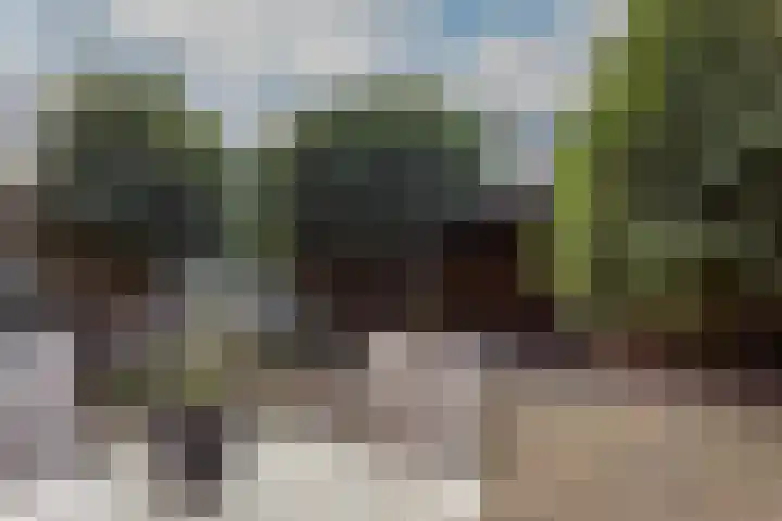 Boedijnhof 36 Hoorn thumbnail 27