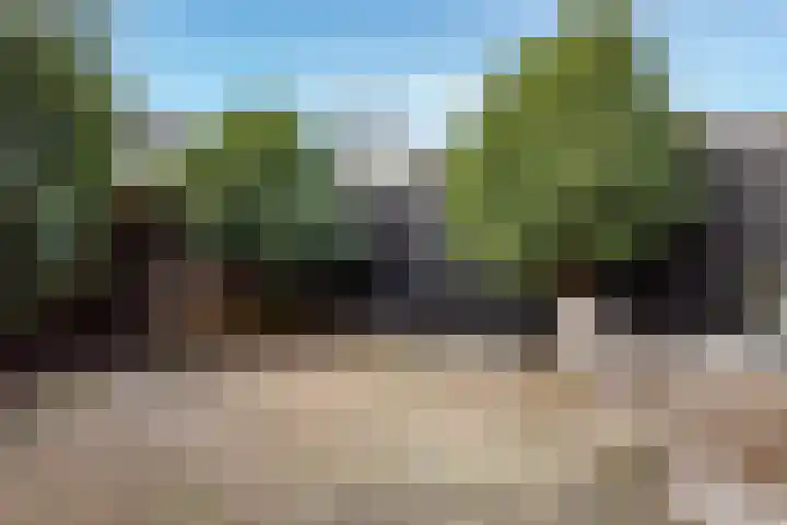 Boedijnhof 36 Hoorn thumbnail 28