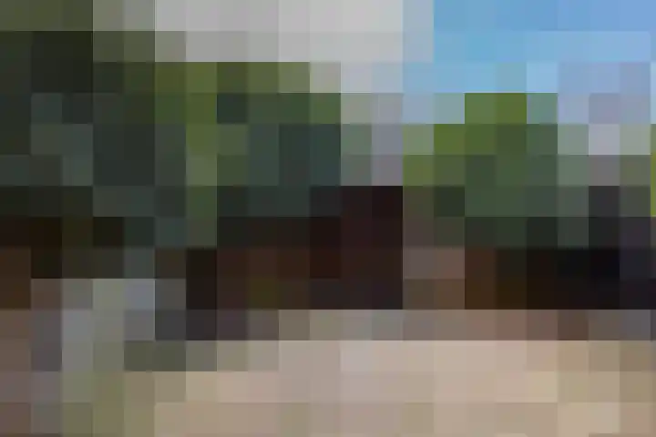 Boedijnhof 36 Hoorn thumbnail 29