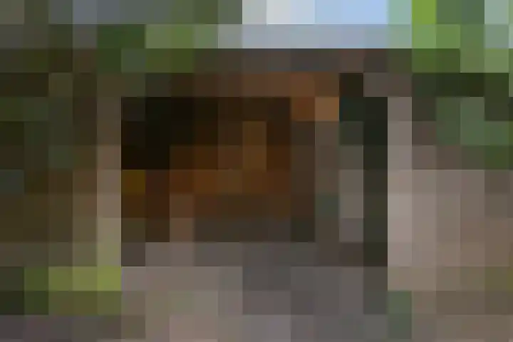 Boedijnhof 36 Hoorn thumbnail 30