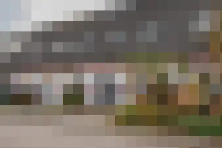 Boedijnhof 36 Hoorn thumbnail 32