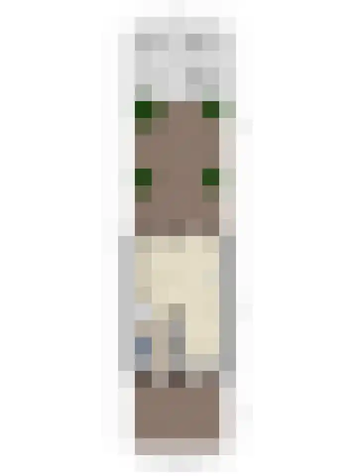 Boedijnhof 36 Hoorn thumbnail 33