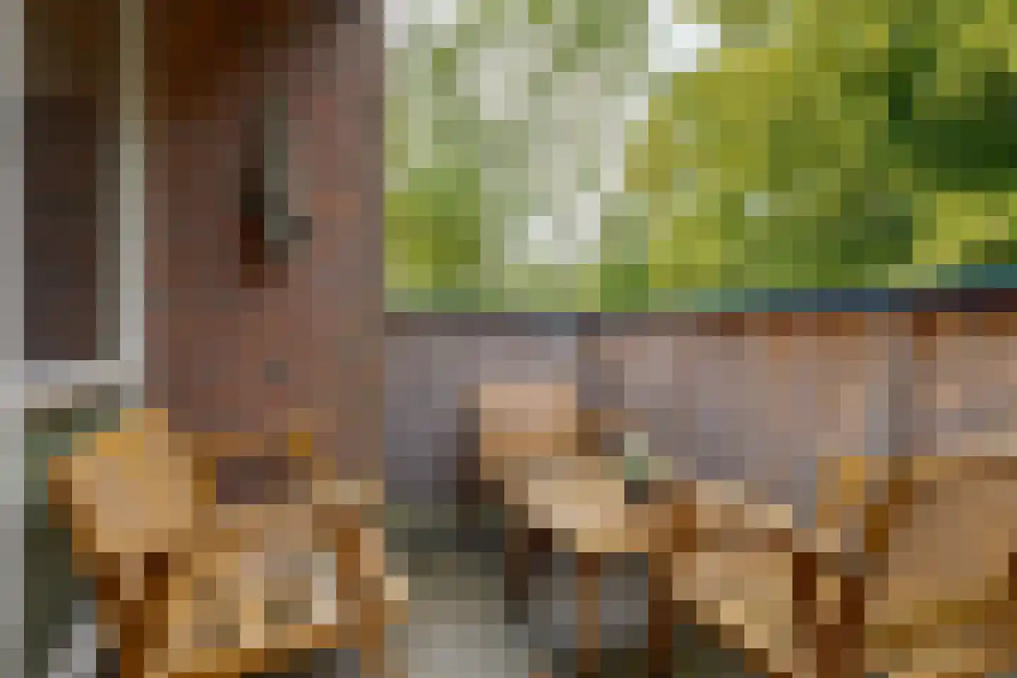 Boeg 101 Groningen thumbnail 19