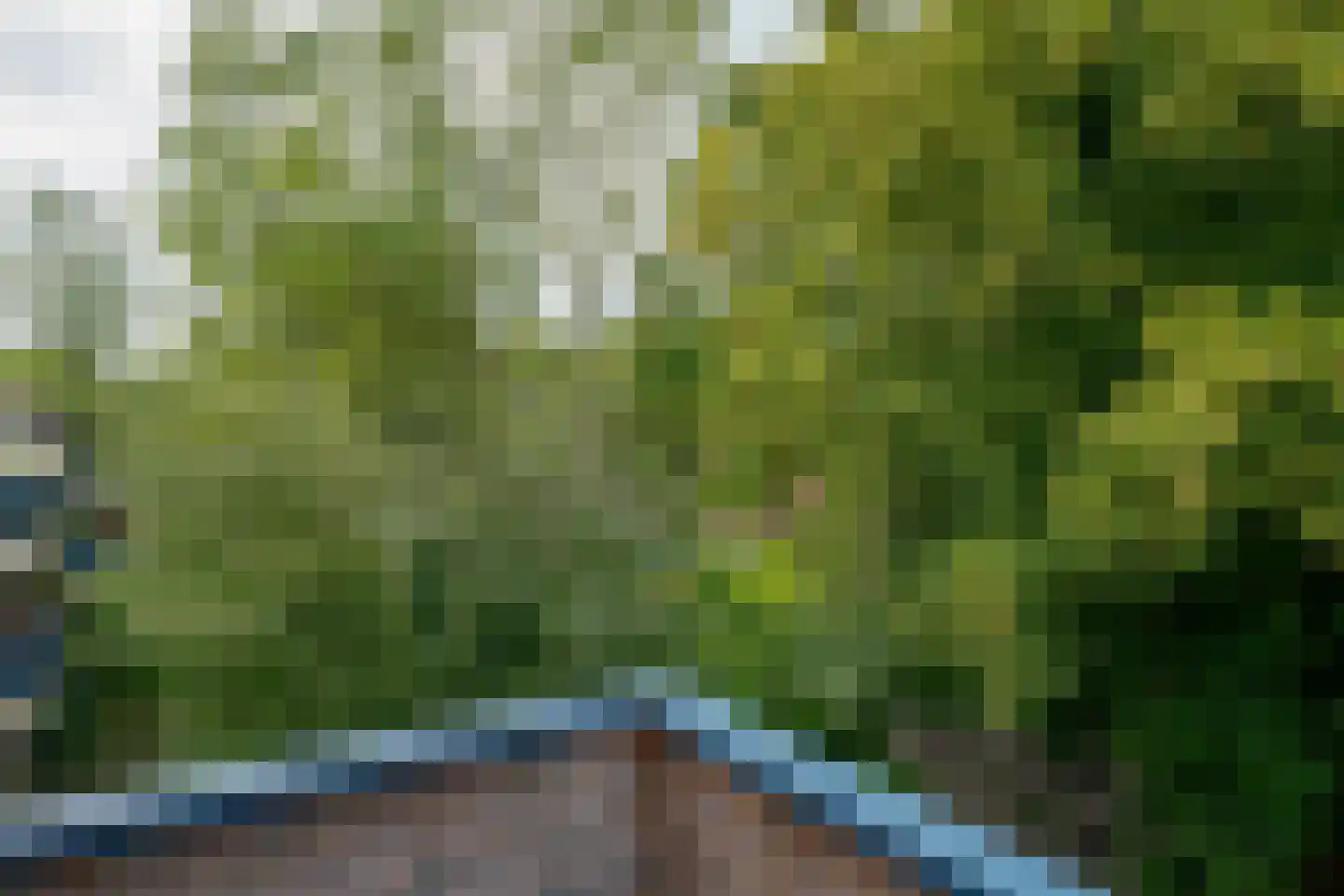 Boeg 101 Groningen thumbnail 20