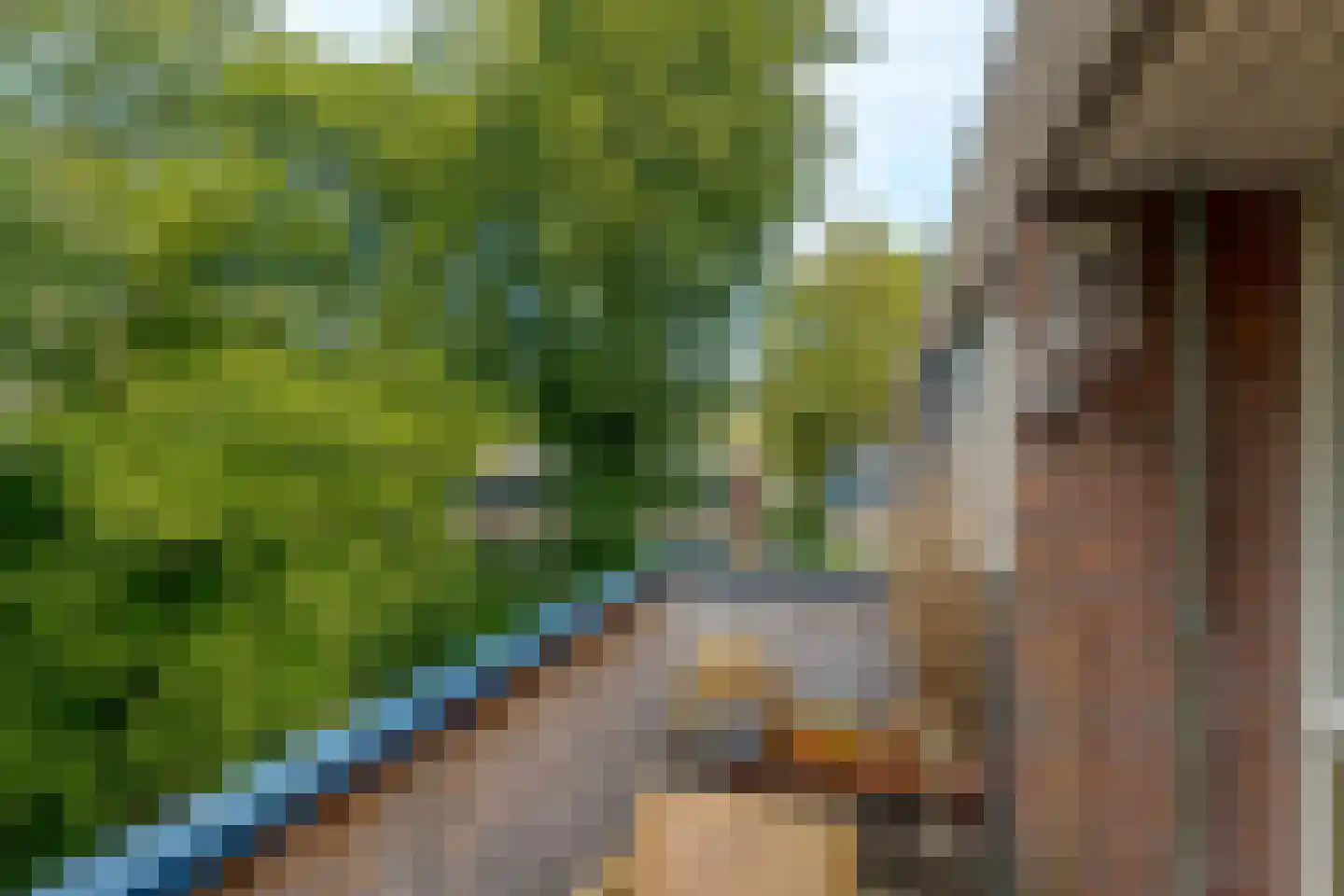 Boeg 101 Groningen thumbnail 21