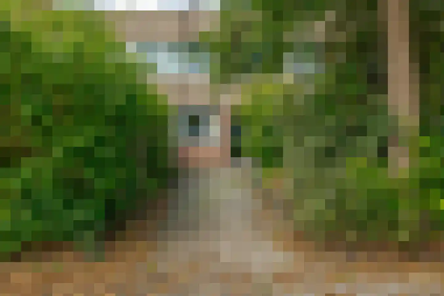 Boeg 101 Groningen thumbnail 42
