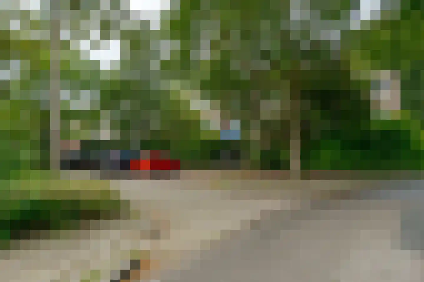 Boeg 101 Groningen thumbnail 44