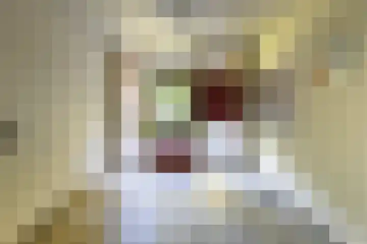 Boeg 119 Groningen thumbnail 11