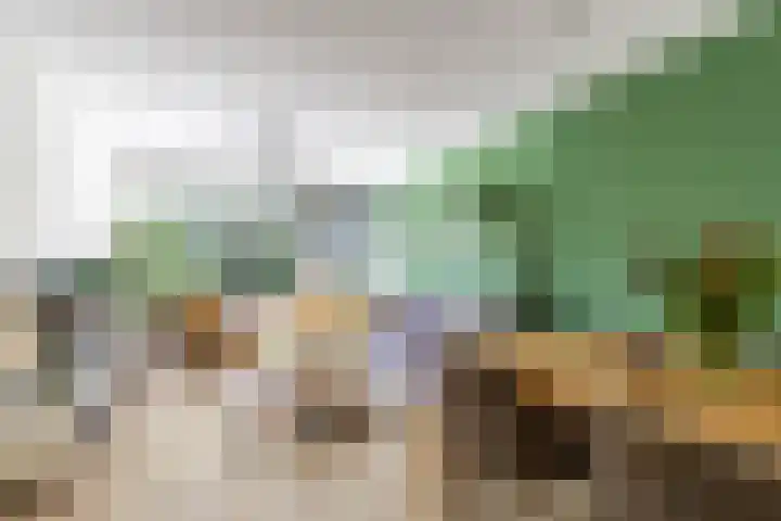 Boeg 119 Groningen thumbnail 17