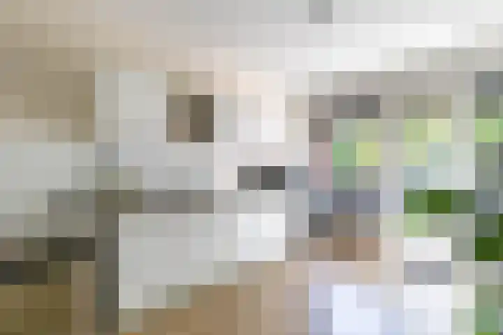 Boeg 119 Groningen thumbnail 24