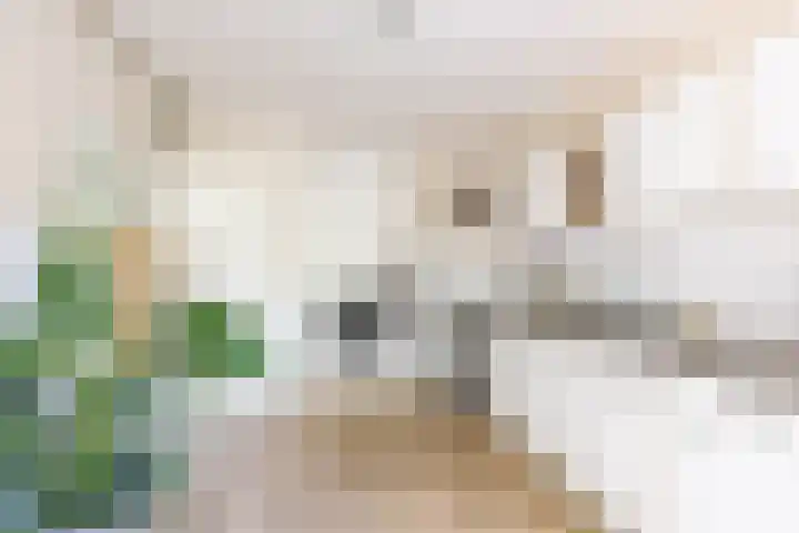 Boeg 119 Groningen thumbnail 26