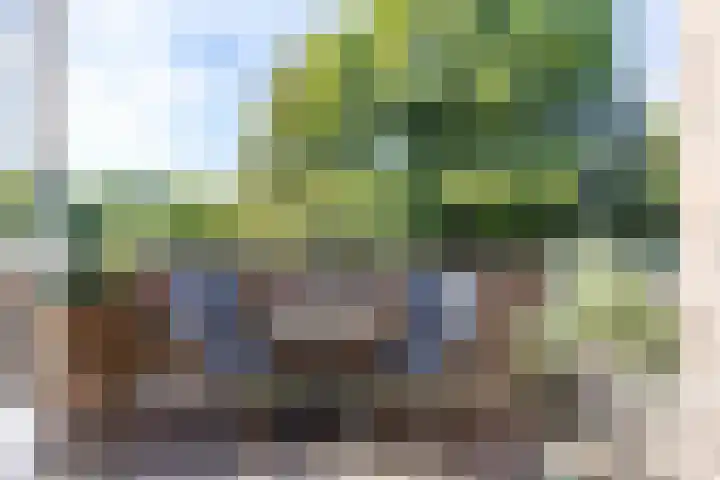 Boeg 119 Groningen thumbnail 27