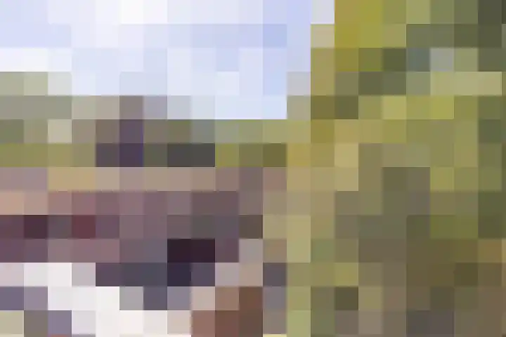 Boeg 119 Groningen thumbnail 29