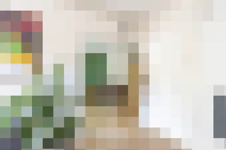 Boeg 119 Groningen thumbnail 30