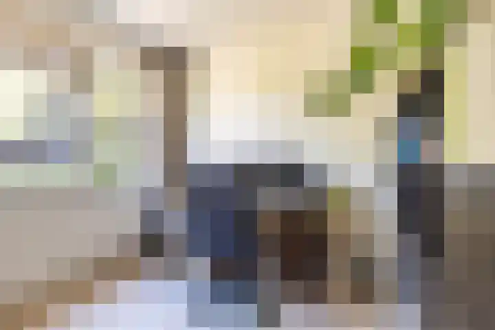 Boeg 119 Groningen thumbnail 40