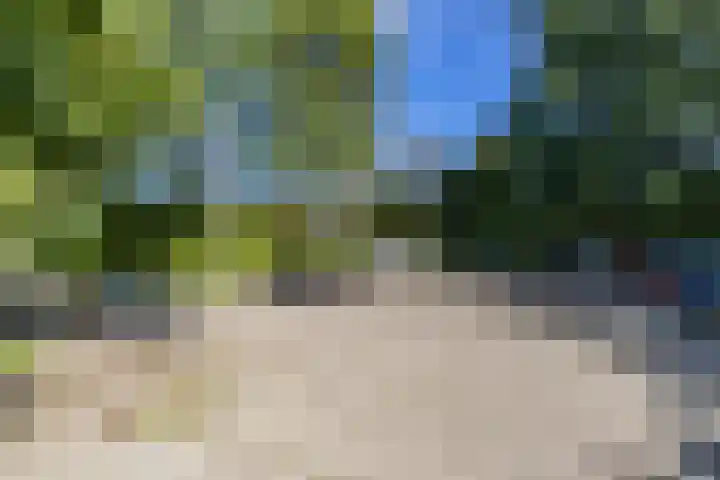 Boeg 119 Groningen thumbnail 7
