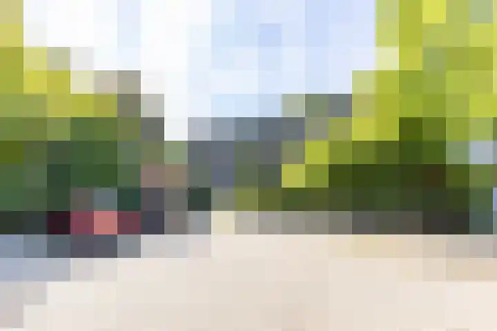 Boeg 119 Groningen thumbnail 8