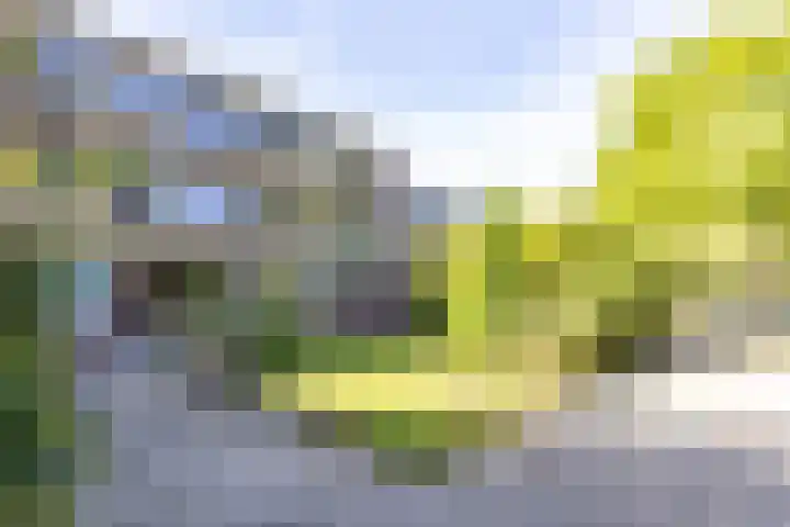 Boeg 119 Groningen thumbnail 9