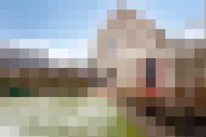 Boeg 26 Klazienaveen thumbnail 20