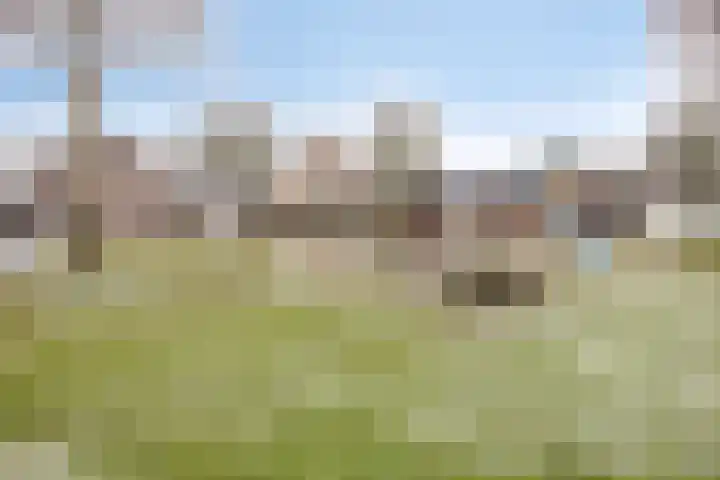 Boeg 26 Klazienaveen thumbnail 26
