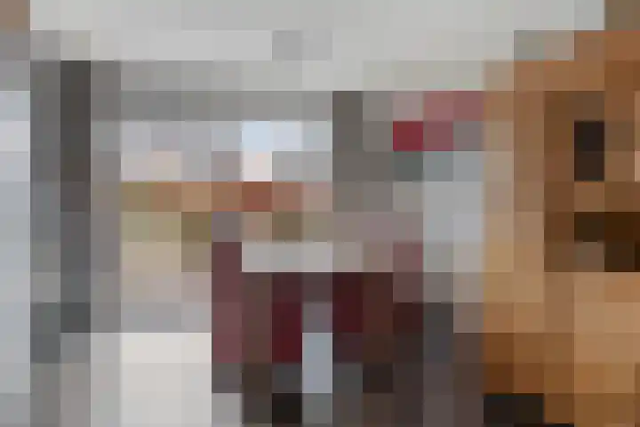 Boeg 26 Klazienaveen thumbnail 7