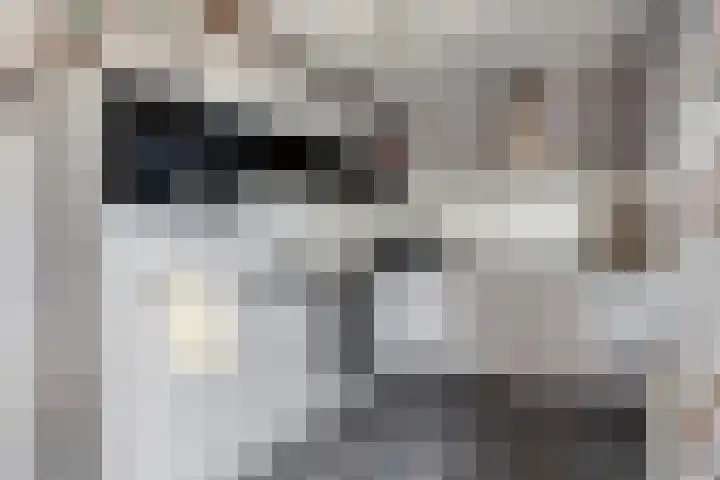 Boeg 26 Klazienaveen thumbnail 8