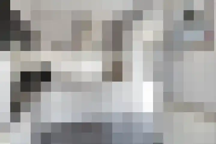 Boeg 26 Klazienaveen thumbnail 9