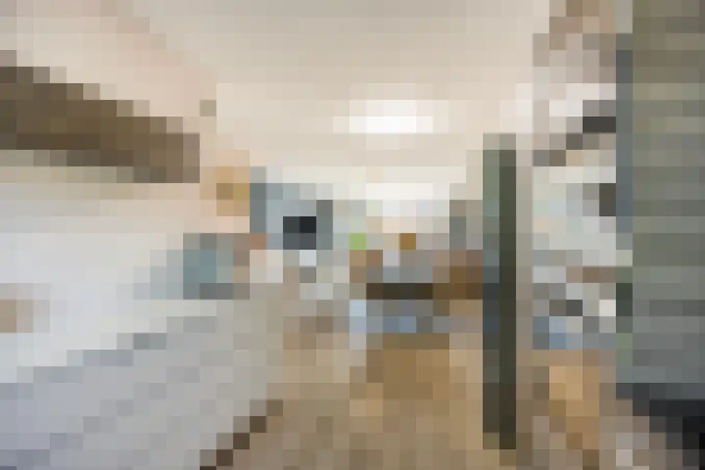 Boegbeeld 1 Medemblik thumbnail 10