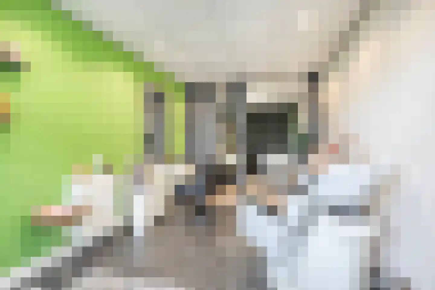 Boegbeeld 1 Medemblik thumbnail 12