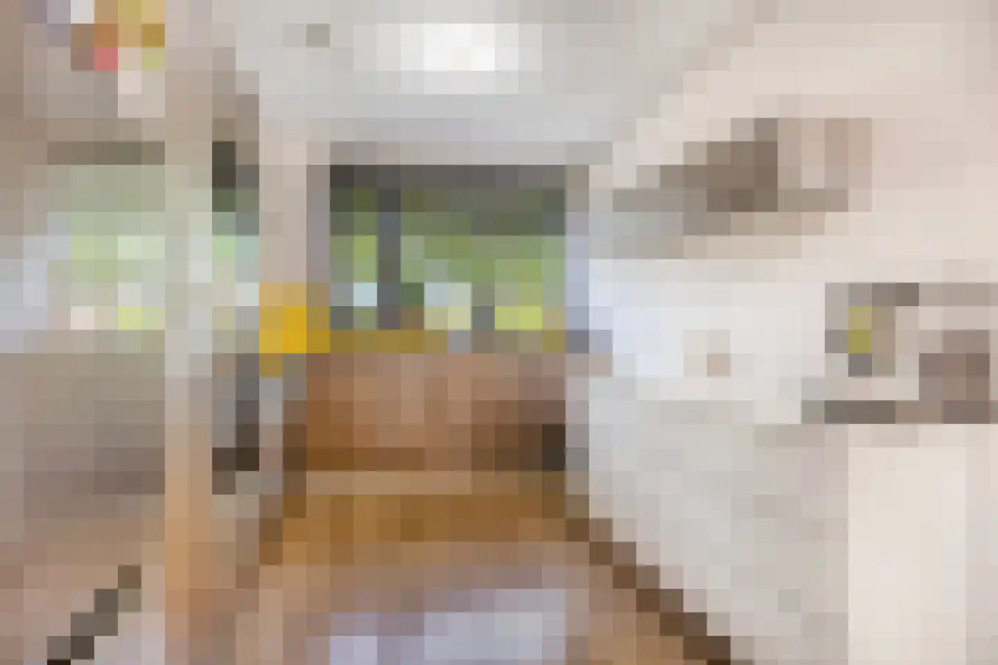 Boegbeeld 1 Medemblik thumbnail 8