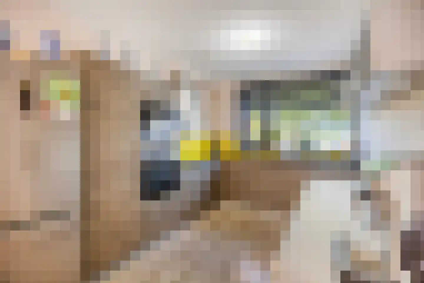 Boegbeeld 1 Medemblik thumbnail 9
