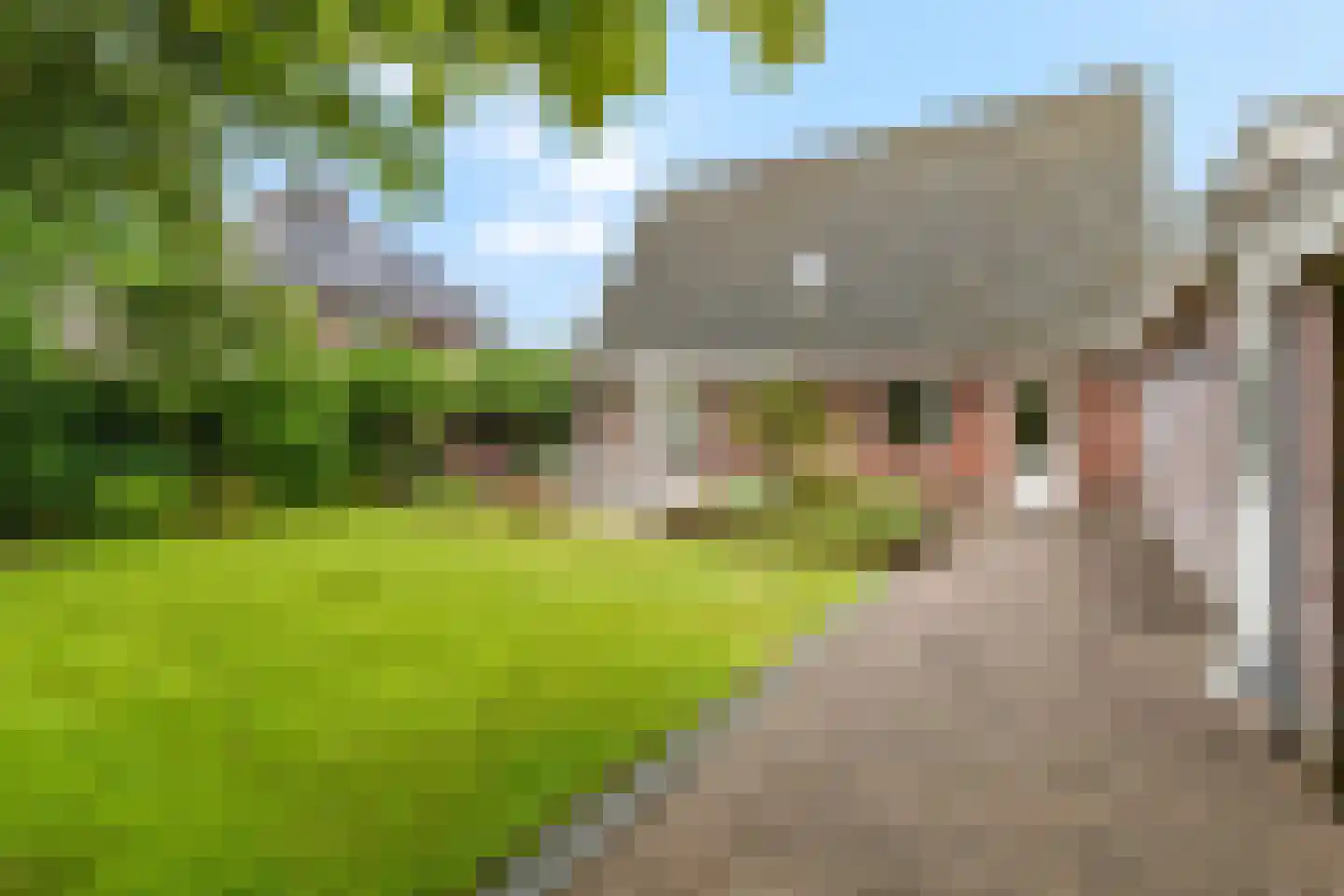 Boegbeeld 10 Nijkerk thumbnail 35