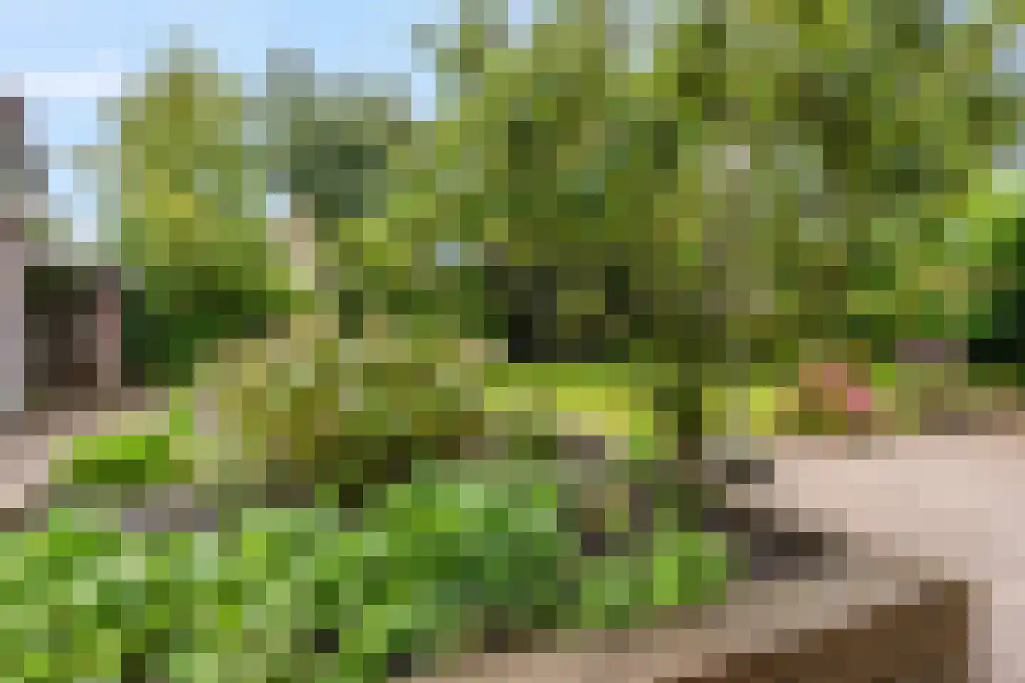 Boegbeeld 10 Nijkerk thumbnail 38