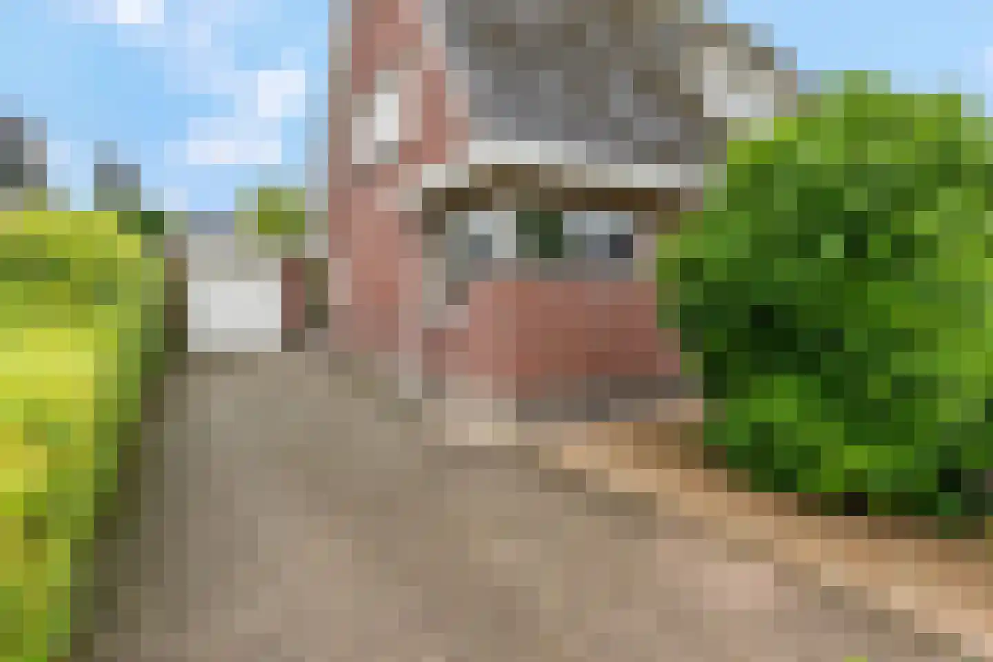 Boegbeeld 10 Nijkerk thumbnail 45