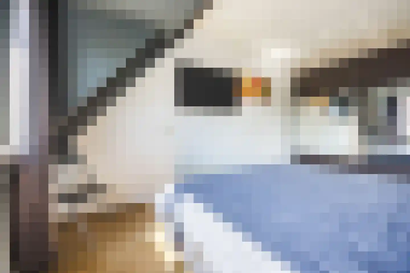 Boegbeeld 2 Hellevoetsluis thumbnail 12
