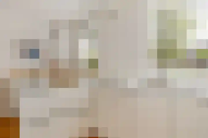 Boegbeeld 33 Oss thumbnail 18