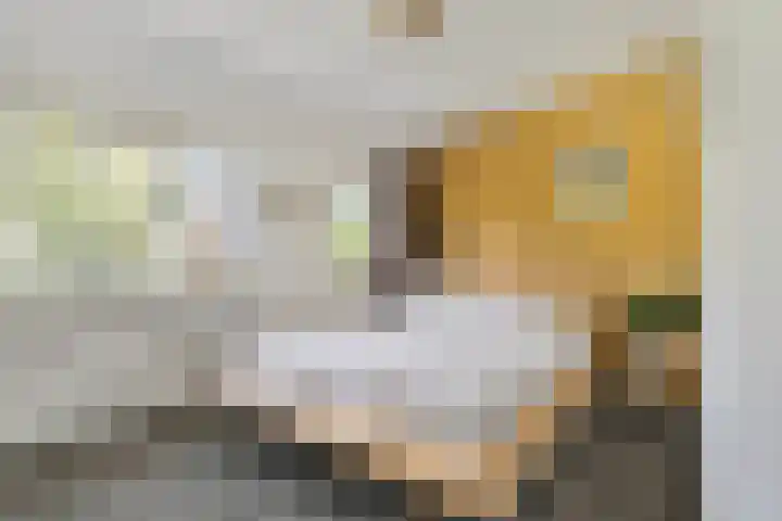 Boegbeeld 33 Oss thumbnail 23