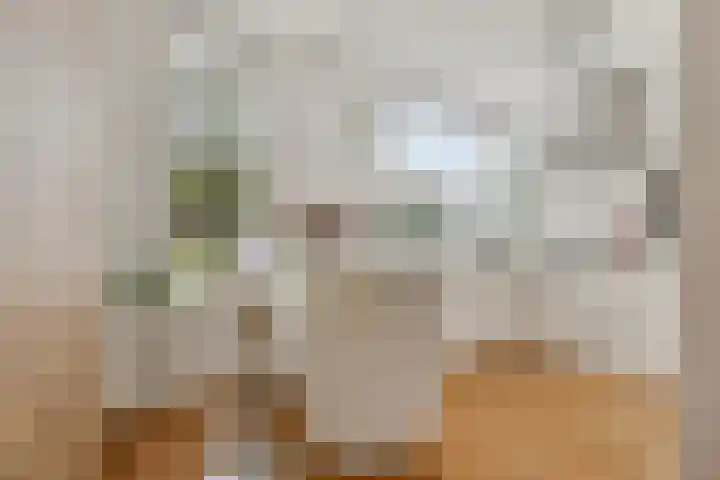 Boegbeeld 33 Oss foto 3