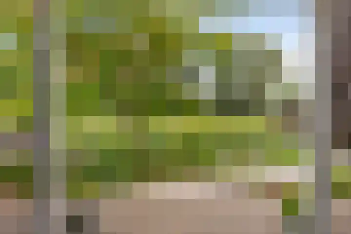 Boegbeeld 33 Oss thumbnail 30