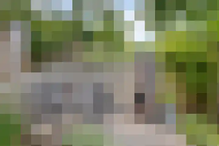 Boegbeeld 33 Oss thumbnail 32
