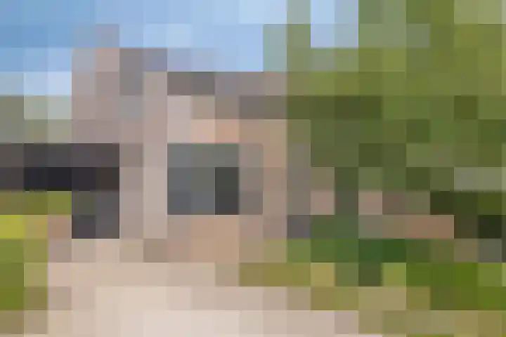 Boegbeeld 33 Oss thumbnail 7