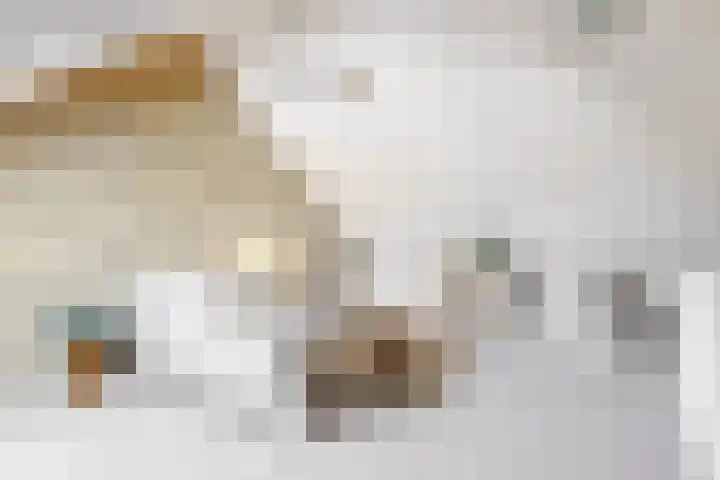 Boegbeeld 5 Medemblik thumbnail 26