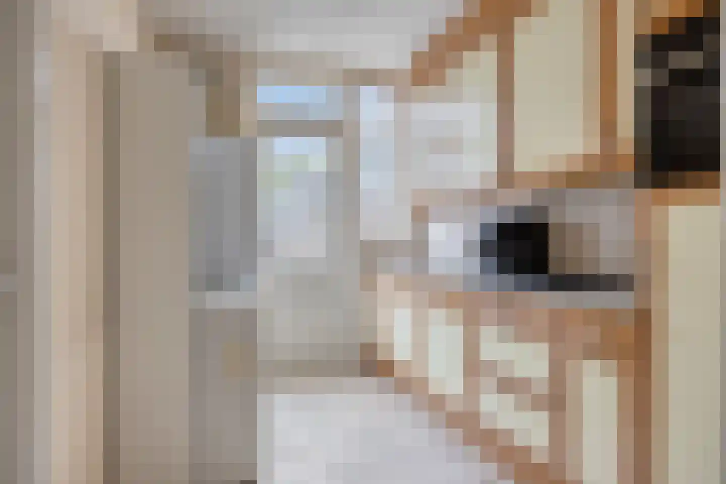 Boegent 12 Reusel thumbnail 13