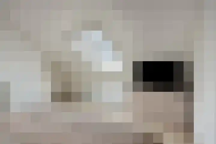 Boegent 35 Reusel thumbnail 15