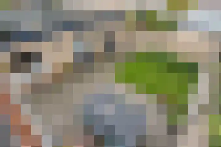 Boegent 74 Reusel thumbnail 32